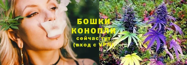 мяу мяу мука Белокуриха