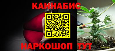 ГАЛЛЮЦИНОГЕННЫЕ ГРИБЫ Свободный
