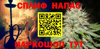 молекула духа Гай