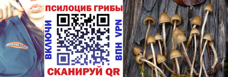 сколько стоит Пыть-Ях Галлюциногенные грибы ЛСД