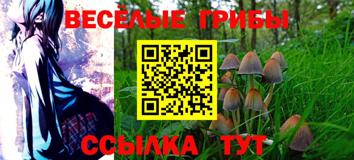 Галлюциногенные грибы ЛСД Пыть-Ях